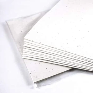 Basil Seed Plantable Paper - A Sustainable Choice
