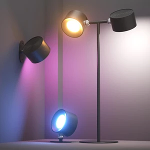 CaalLogt 2in1 RGB Dual Head Desk Lamp