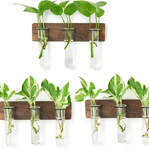 XXXFLOWER Wall Mounted Plant Terrarium with Wooden Stand 3 PCS