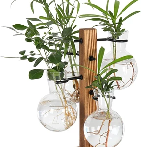 Plant Terrariums Kit with 4 Glass Vases and Wood Stand