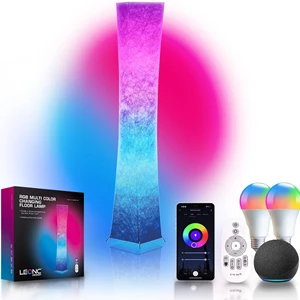 LEONC 61" Soft Light RGB LED Floor Lamp