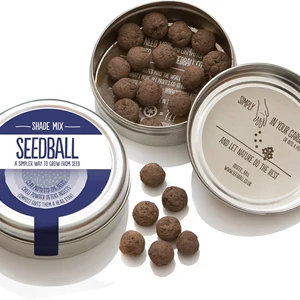 Shade Mix Seed Bombs: 20 Wildflower Seed Balls