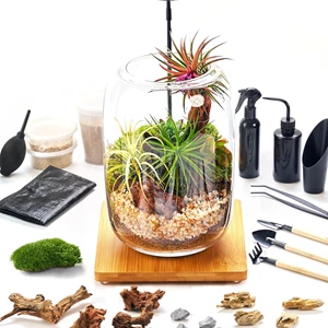 Terrarium Kit/Supplies with Grow Light for Succulent Gardening