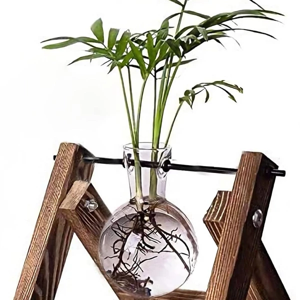 Kingbuy Plant Propagation Station Terrarium