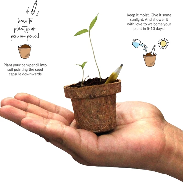 BUY RESPONSIBLY Plantable Mega Grow Kit